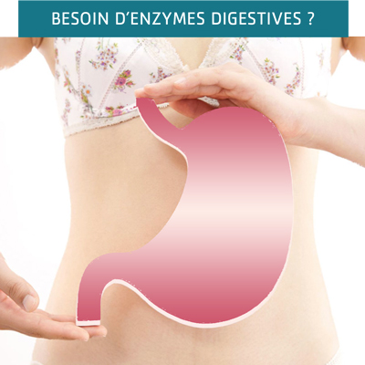 Besoin d'enzymes digestives ?